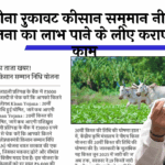 Registration Confirmation PM Kisan: बिना रुकावट किसान सम्मान निधि योजना का लाभ पाने के लिए कराए यह काम