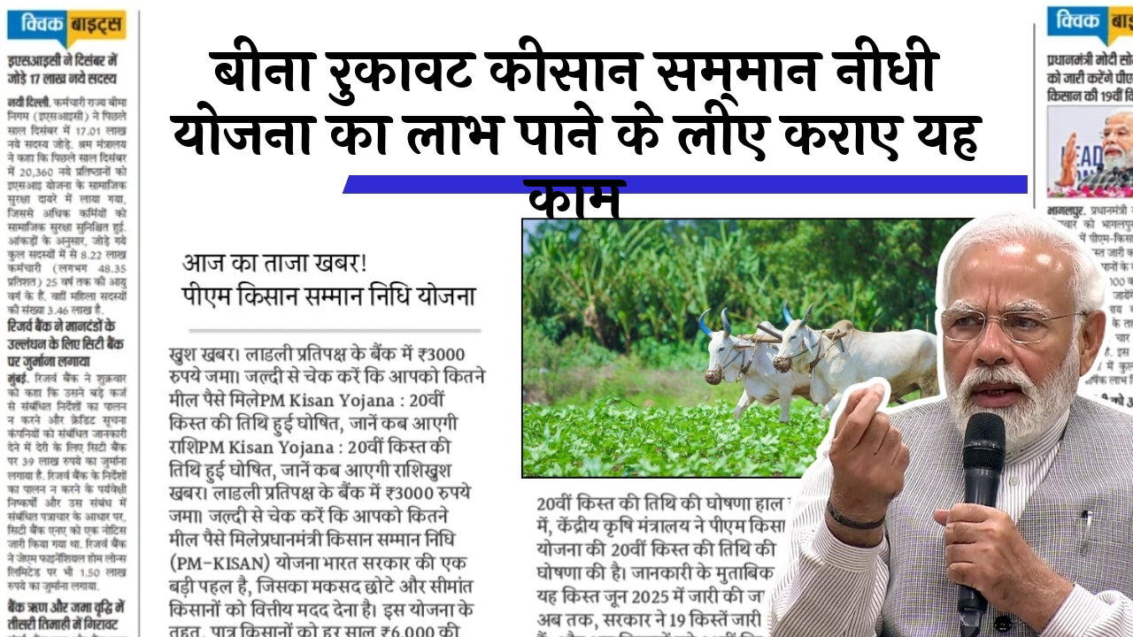 Registration Confirmation PM Kisan: बिना रुकावट किसान सम्मान निधि योजना का लाभ पाने के लिए कराए यह काम